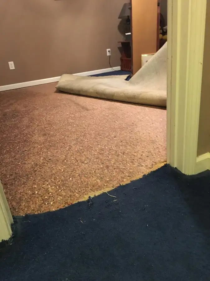 Carpet pad removal revealing water damage during Drying & Dehumidification in Algonquin
