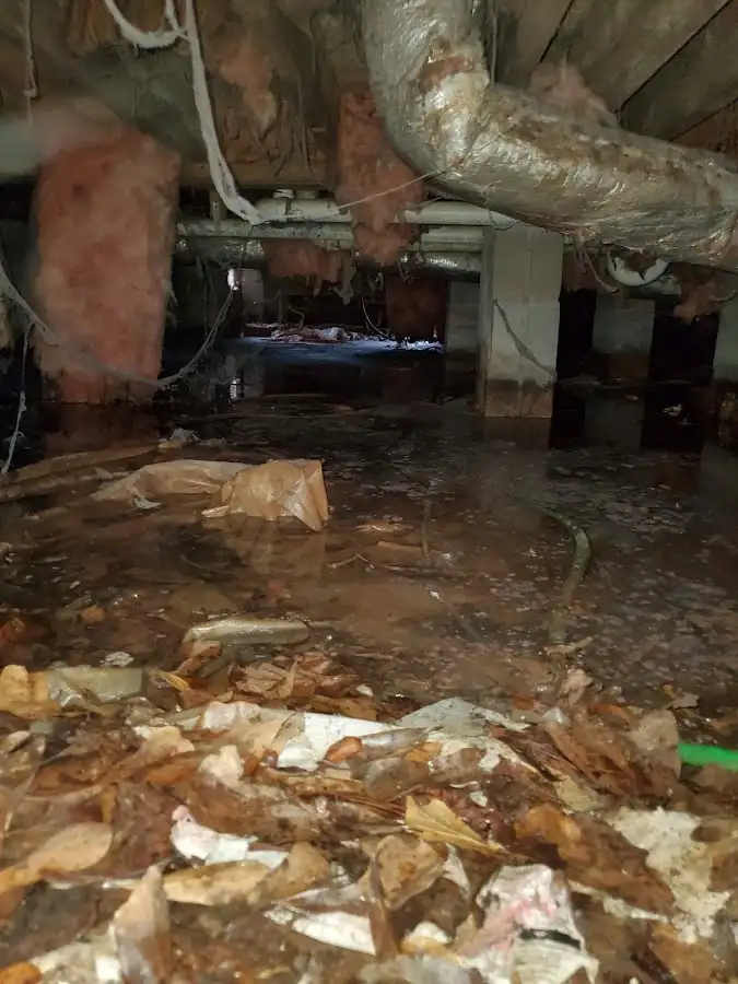 Crawl space flood assessment for Leak Detection & Repair in Algonquin